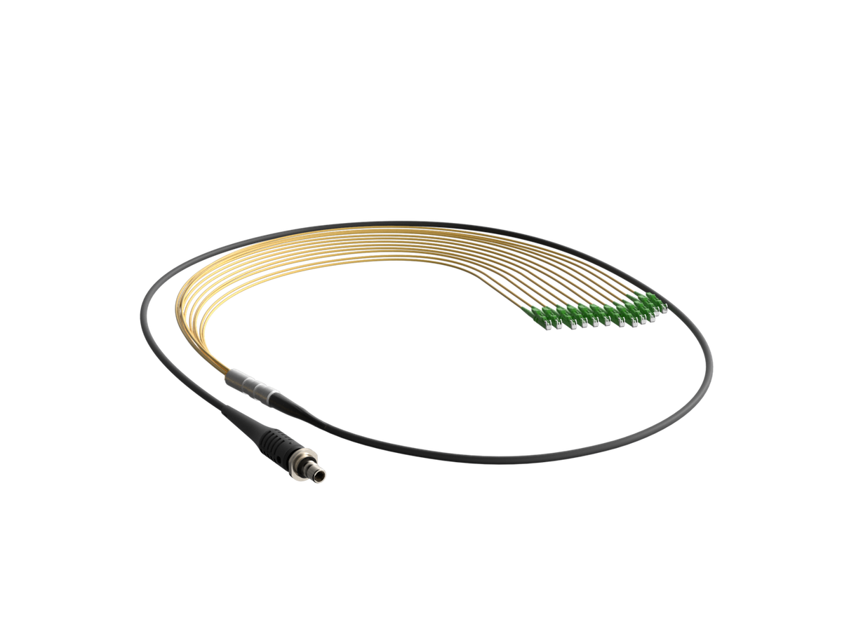 SpiderLINE RC